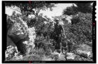 Philokalia vineyards showing boulders that crushed the vines.